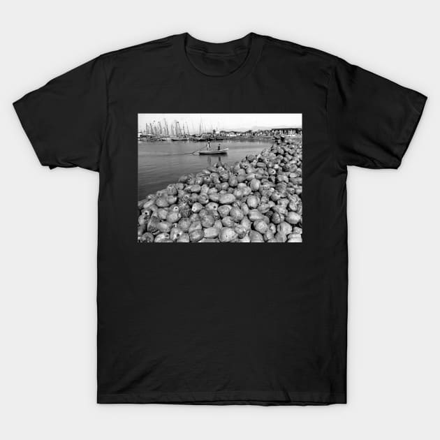 Haitian coconuts at Port Au Prince T-Shirt by In Memory of Jerry Frank